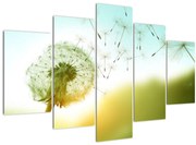 Obraz - Púpava vo vetre (150x105 cm)