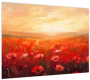 Obraz - Pole vlčích makov (70x50 cm)