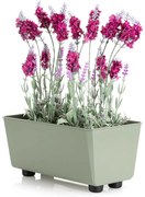 PLASTOVÝ KVETINÁČ SALVIA 28,5X17 CM ZELENÁ