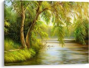 Obraz - Vŕba pri jazere, olejomaľba (70x50 cm)