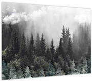 Obraz - Les s ilustrovanými prvkami (70x50 cm)