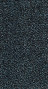 Rinos bv, Čistiaca zóna Robust 137 zelená, šíre 200 cm, šíře 1,35m,2m, zelená, pvc, chodba / predsieň