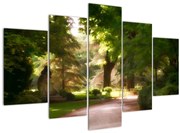 Obraz parku (150x105 cm)