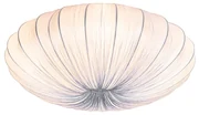 Dizajnové stropné svietidlo sivé 60 cm 5-svetlo - Plu