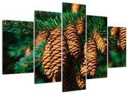 Obraz šišiek (150x105 cm)