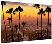 Obraz - Panorama Los Angeles (90x60 cm)