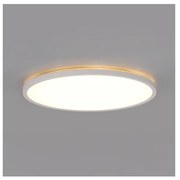 LED kúpeľňové stropné svietidlo NIVERA LED/24W/230V IP54 pr. 30 cm biele