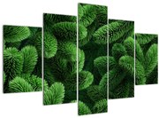 Obraz - Vetvičky ihličnanu (150x105 cm)