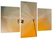 Obraz - Makro kvetu (90x60 cm)