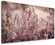 Obraz na stenu KVETY | rôzne rozmery