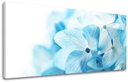 Obraz na stenu Panoráma KVETY | rôzne rozmery
