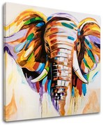 Autorská reprodukcia na plátne SLON | rôzne rozmery