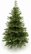 Smrek Tirolský 3D- 170cm
