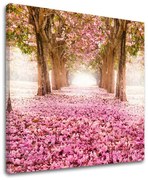 Obraz na stenu STROMY | rôzne rozmery