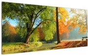 Obraz - Pokojná jesenná krajina (120x50 cm)