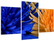 Detailný obraz kvetov (90x60 cm)