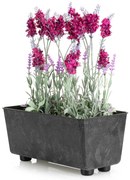 PLASTOVÝ KVETINÁČ SALVIA 28,5X17 CM IMITÁCIA BETÓNU ČIERNA