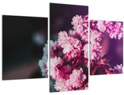 Obraz kvetov stromov (90x60 cm)