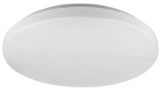 Rabalux 5435 - LED Stropné svietidlo ROB LED/20W/230V