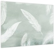 Obraz - Biele pierka (70x50 cm)