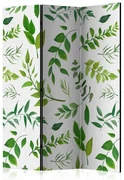 Artgeist Paraván - Green Twigs [Room Dividers]