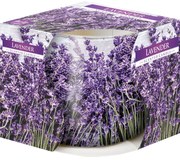 Vonná sviečka v skle Lavender 100 g, 7,2 cm