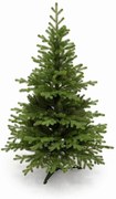 Smrek Tirolský 3D- 135cm