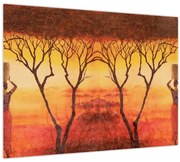 Obraz - Africká savana (70x50 cm)