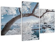 Obraz zasneženého stromu pri vode (90x60 cm)