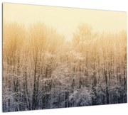 Obraz mrazivého lesa (70x50 cm)