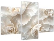 Obraz - Jemné pivonky (90x60 cm)