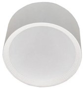 LED Stropné svietidlo PERCI LED/20W/230V IP40 4000K biela