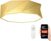 Immax NEO 07132-G40- LED Stropné svietidlo DIAMANTE LED/31W/230V + DO Tuya ZigBee