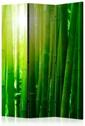 Artgeist Paraván - Sun and bamboo [Room Dividers]
