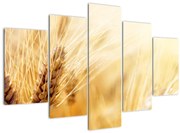 Obraz - detail obilia (150x105 cm)