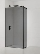 Sprchová zástena Walk-in 100 cm SAT SATBWI100KSPRCROZC, 1 ks