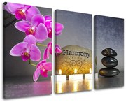 Obraz na stenu FENG SHUI | rôzne rozmery