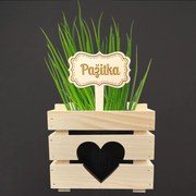 AMADEA Drevený zápich - ceduľka na bylinky Pažítka, výška 20 cm, český výrobok