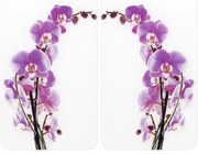 WENKO 2521433500 - Kryt dosky ABDECKPLATTE - motív kvetov a rastlín, 30 x 52 cm, pestrofarebný