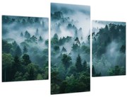 Obraz - Les v hmle (90x60 cm)