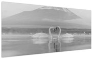 Obraz - Zamilované labute (120x50 cm)