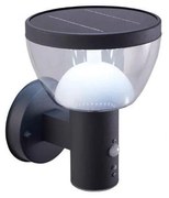 LED vonkajšie solárne nástenné svietidlo so senzorom LARIX LED/3W/3,7V IP44