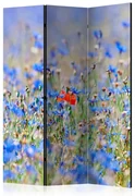 Artgeist Paraván - A sky-colored meadow - cornflowers [Room Dividers]