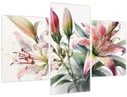 Obraz - Ľalia, ilustrácie (90x60 cm)