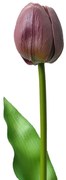 Umelá kvetina fialový tulipán Tulip Purple - 4*4*32 cm