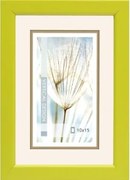 Fotorámik Giulia 10x15 cm, zelený%