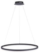 Paul Neuhaus 2383-13 - LED Stmievateľný luster na lanku TITUS LED/50W/230V