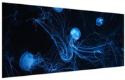 Obraz - Medúzy (120x50 cm)