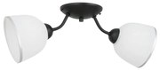 Luminex Stropné svietidlo AVIA 2xE27/60W/230V 176