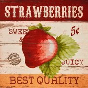 Obraz tlačený na plátne 28x28 PRC699